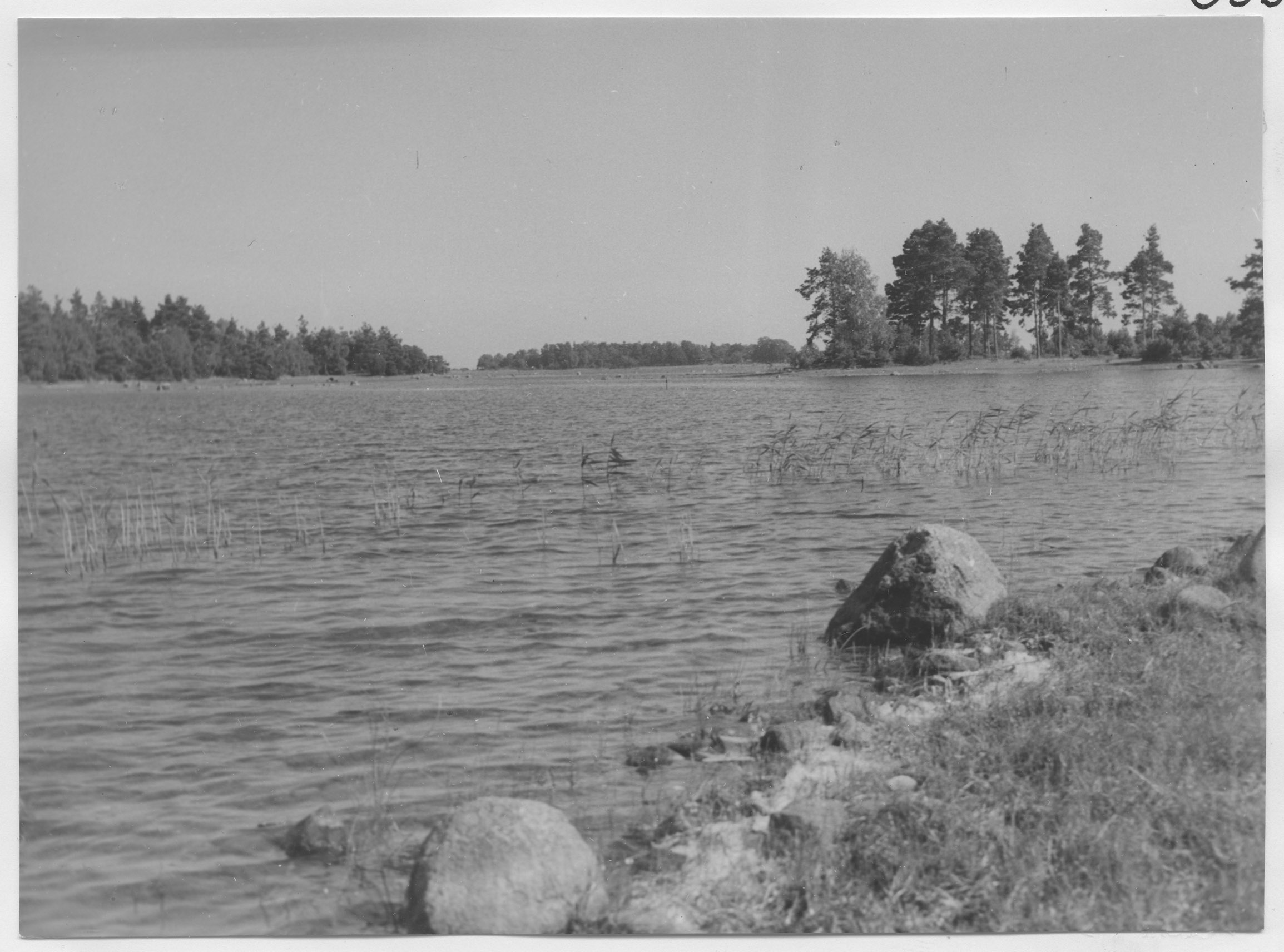 Mårten Sjöbeck, Lövö