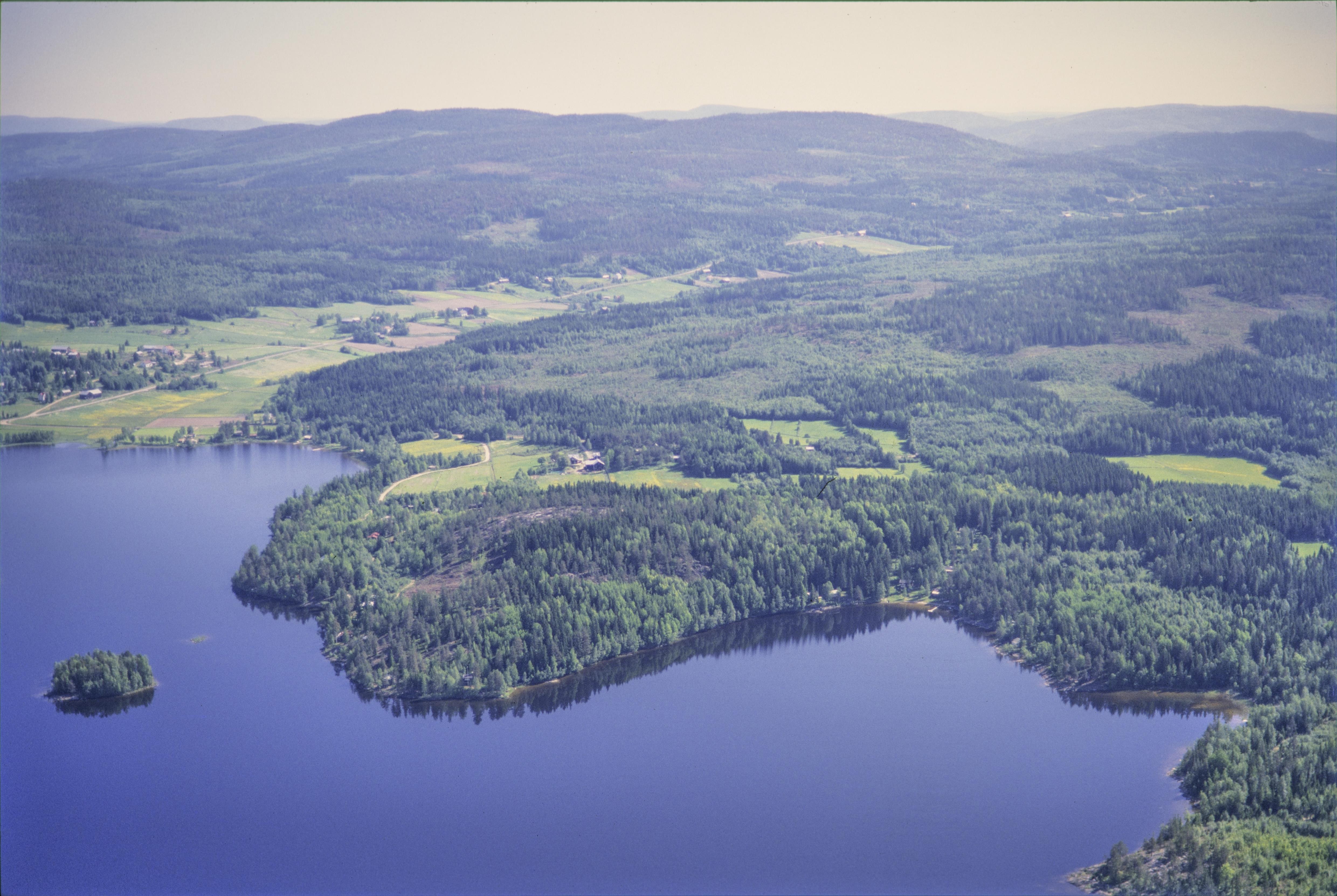 Jan Norrman, Skog 4:1