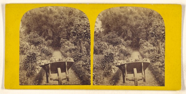 Unknown, [Full wheelbarrow in garden path]