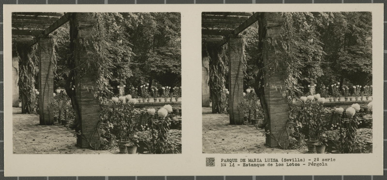 Desconegut, Parque de Maria Luisa (Sevilla)