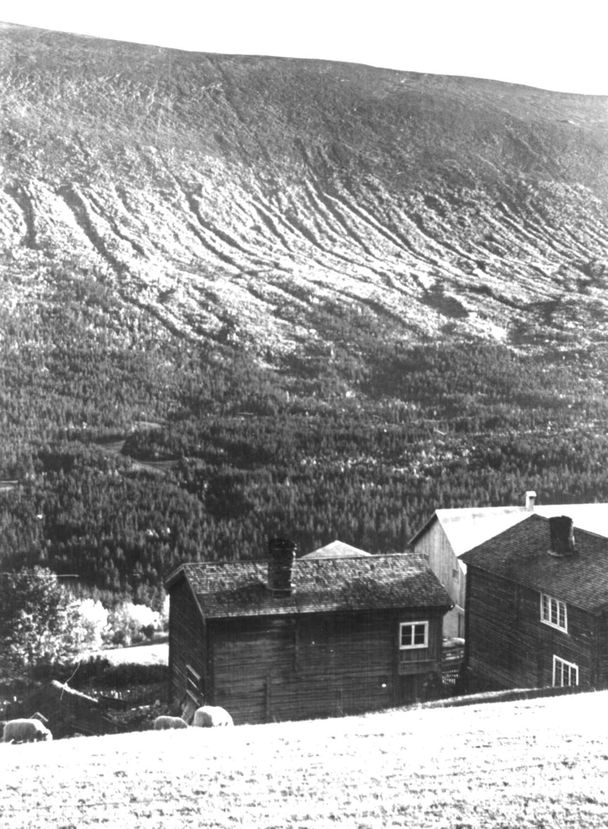 Anna Grostøl, Bråtådal, Skjåk, Oppland 1941. Oversiktsbilde med bygninger på Slette gård.