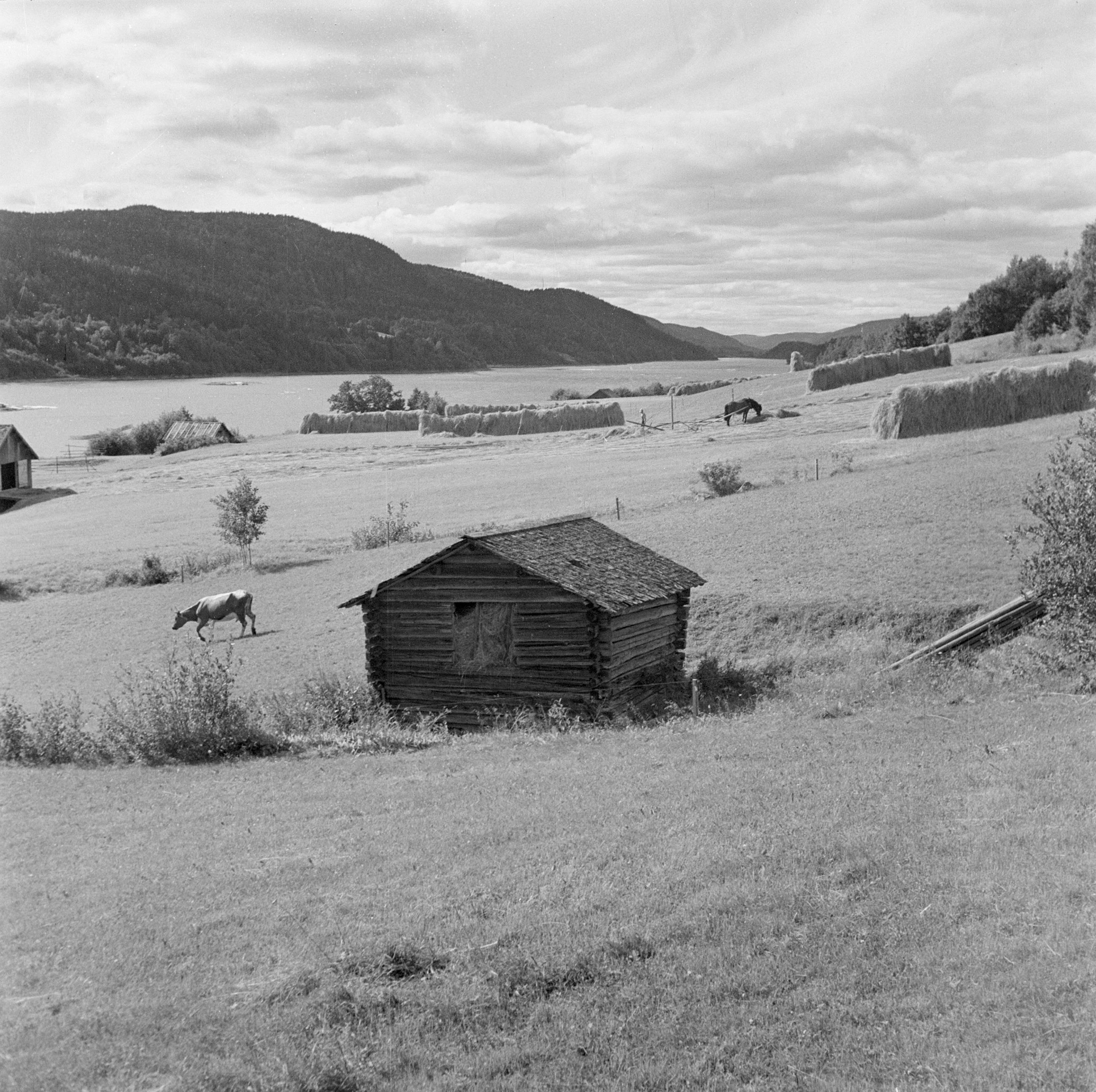 Iwar Anderson, Andersören, Indalsälven
