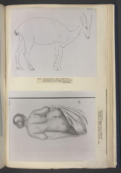 Henri Gaudier-Brzeska, Drawing