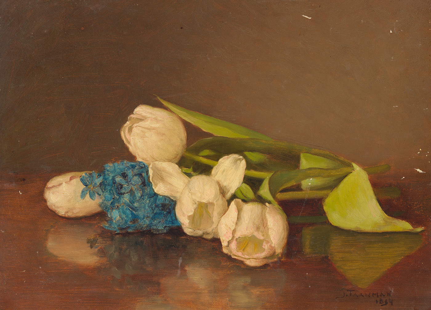 Jacob Taanman, Liggende tulpen