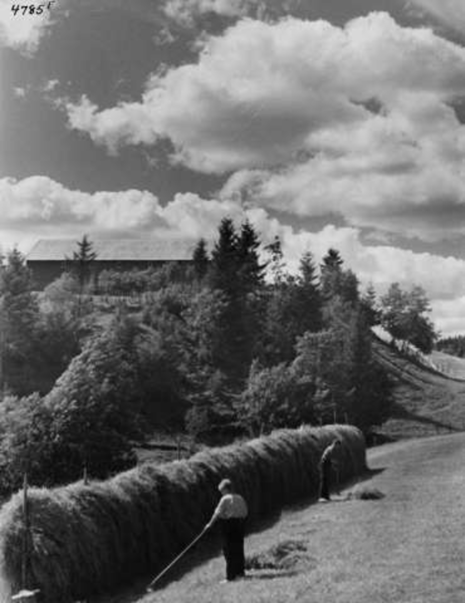 Anders Beer Wilse, -8046