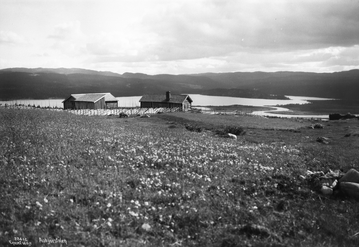 Anders Beer Wilse, Prot: Sæteren