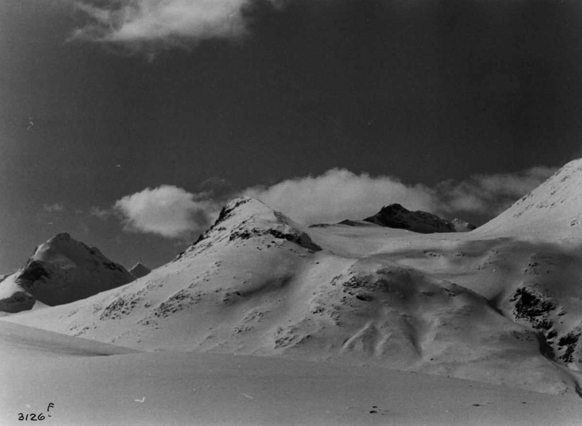 Anders Beer Wilse, Fjellvidde, Jotunheimen, sno, Kyrkja, Tverrbotntindan.
