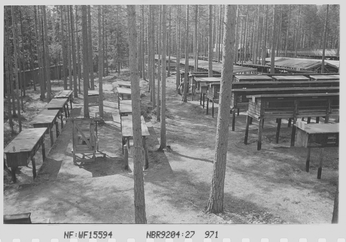 Anders Beer Wilse, Prot: Minkgården Jachelen