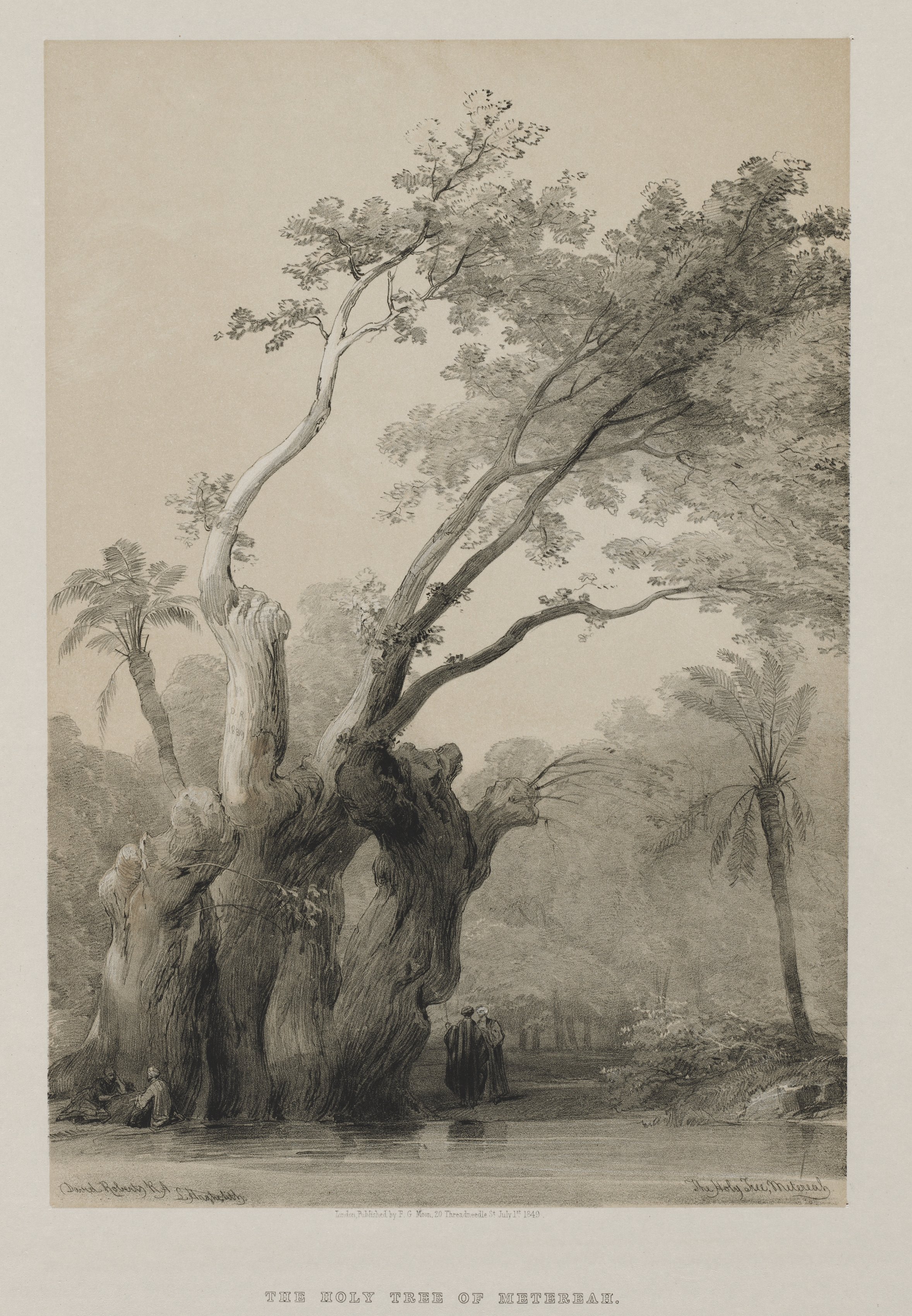 Louis Haghe, Egypt and Nubia, Volume III: The Holy Tree of Metereah