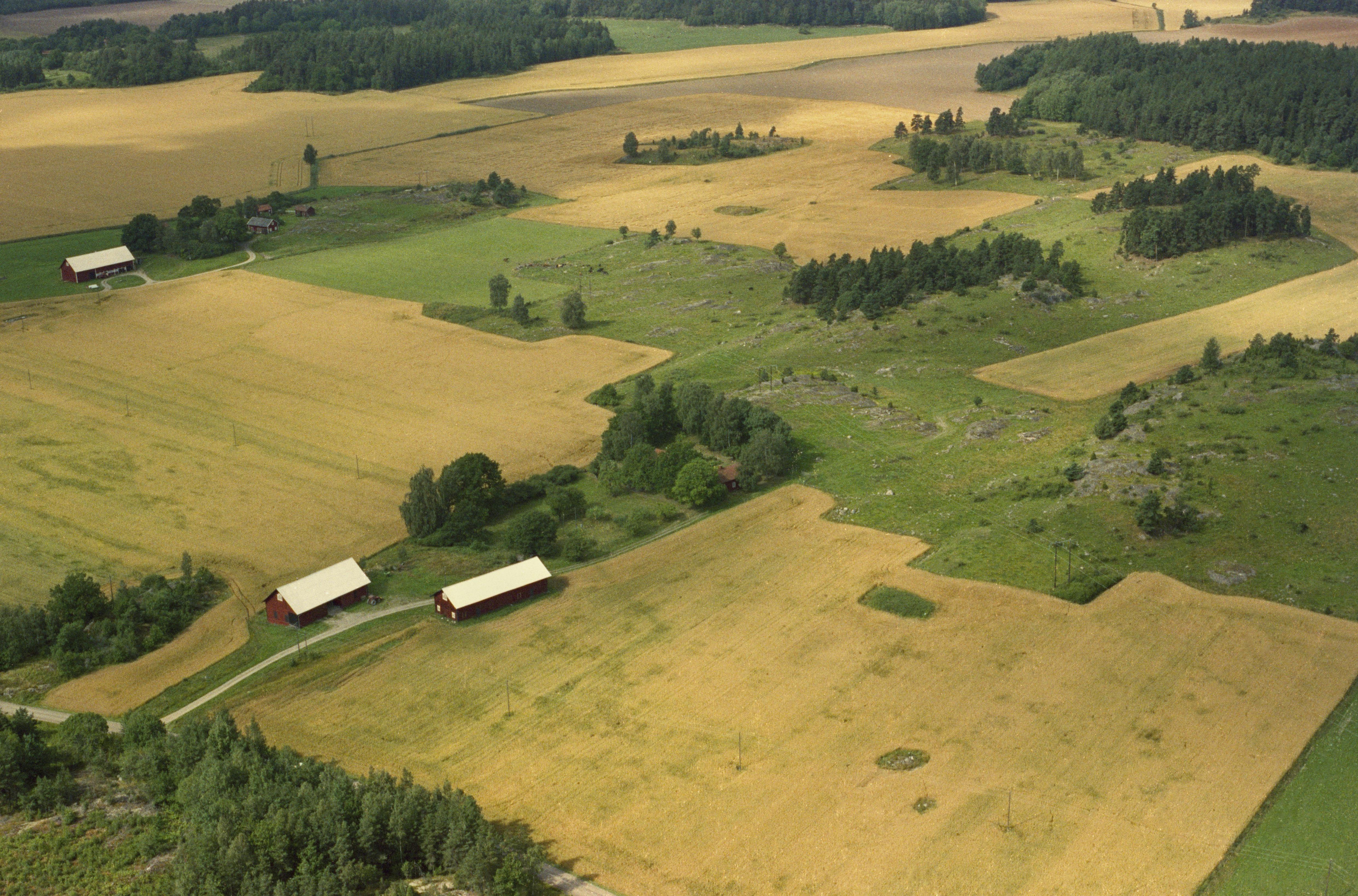 Jan Norrman, Östra Stenby 165:1
