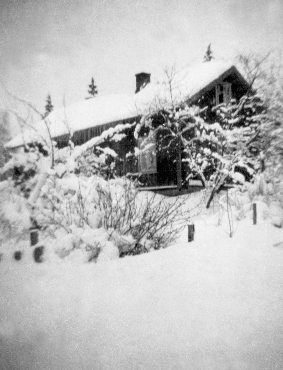 Anno Domkirkeodden, KARLSVANG, EKSTERIØR, VINTER