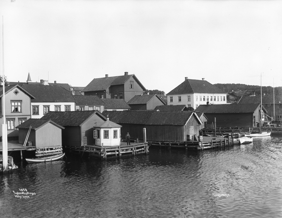 Anders Beer Wilse, Prot: Byen Juni 1903