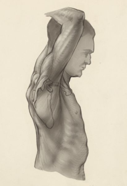 J Tinkelenberg, Shoulder joint