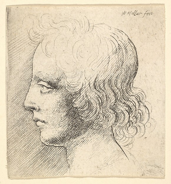 Wenceslaus Hollar, Head of Young Man