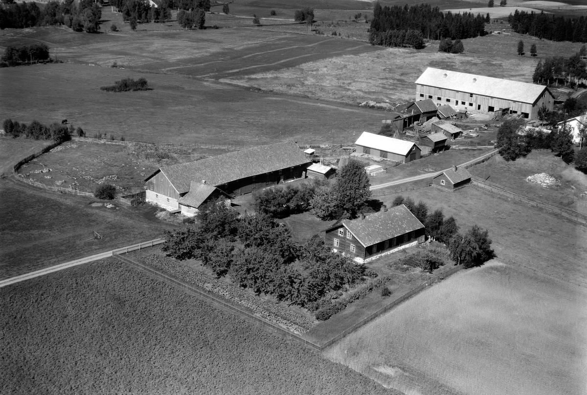 Anno Domkirkeodden, RØNE NORDRE, GNR. 53-2 I FORGRUNNEN OG I BAKGRUNNEN RØNE GNR. 53-1