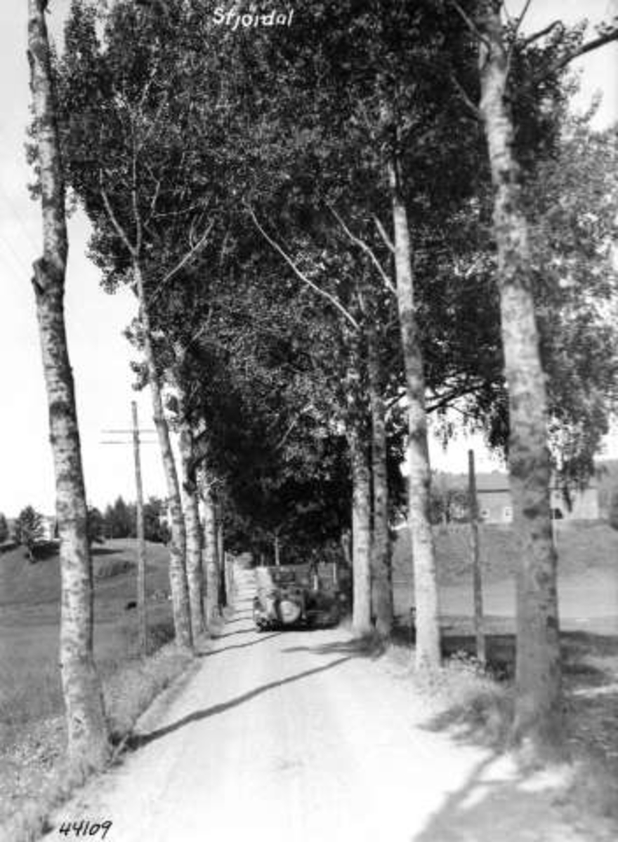 Anders Beer Wilse, -5761