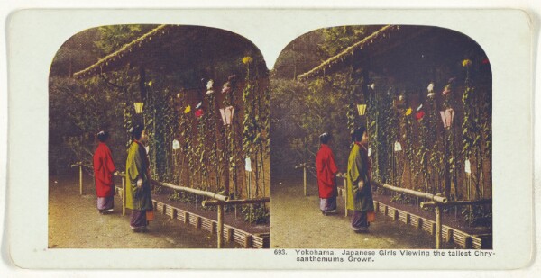 Unknown, Yokohama. Japanese Girls Viewing the tallest Chrysanthemums Grown.