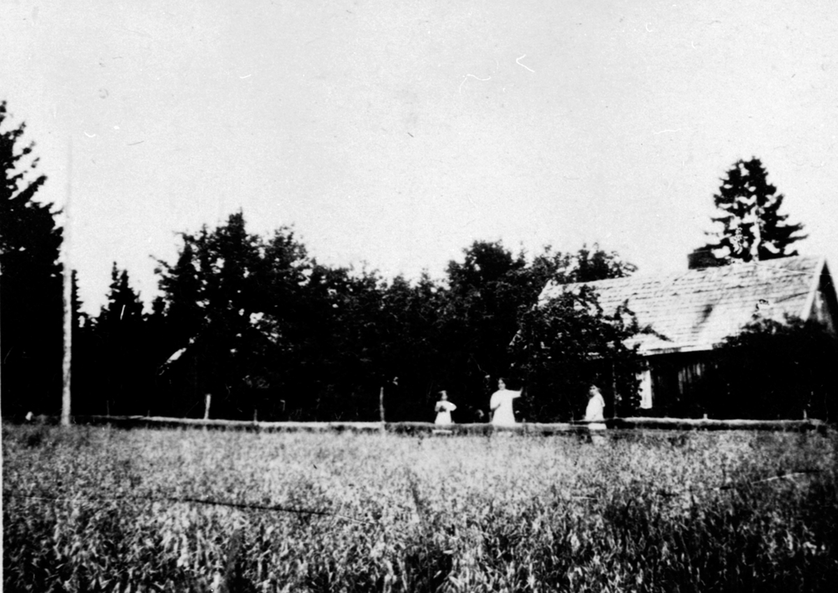 Anno Domkirkeodden, Eksteriør, husmannsplass, Lovisenberg/Nordmoen, Nes, Hedmark før restaurering. Skylddelt fra Skjelve vestre i 1860.