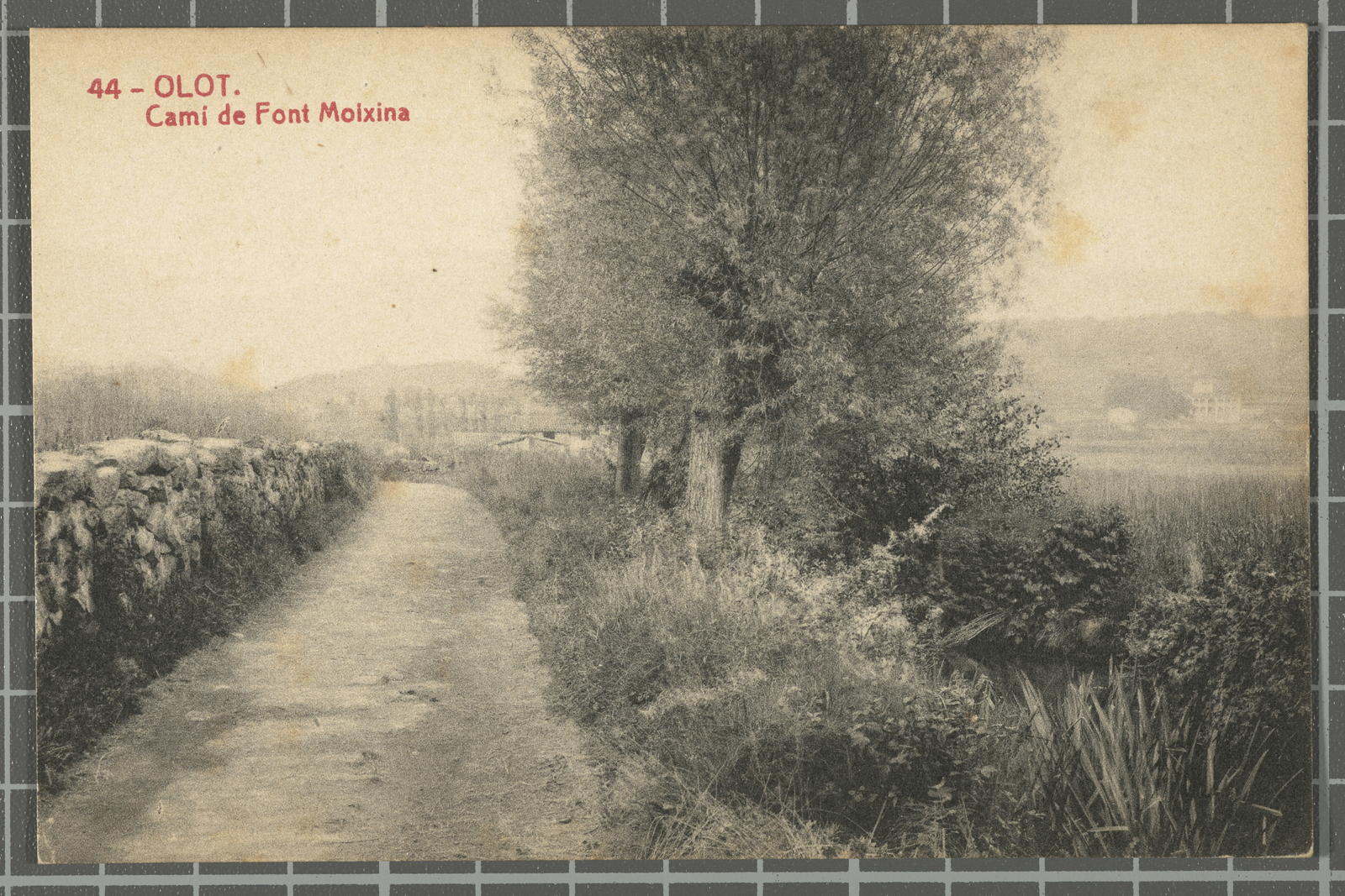 Desconegut, 44 - Olot. Camí de Font Moixina