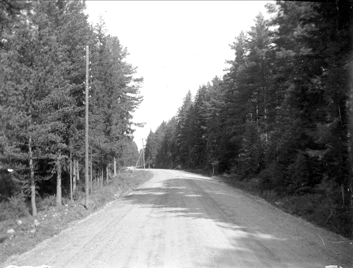August Fredrik Schagerström, Road in Älvkarleby parish, Uppland May 1929