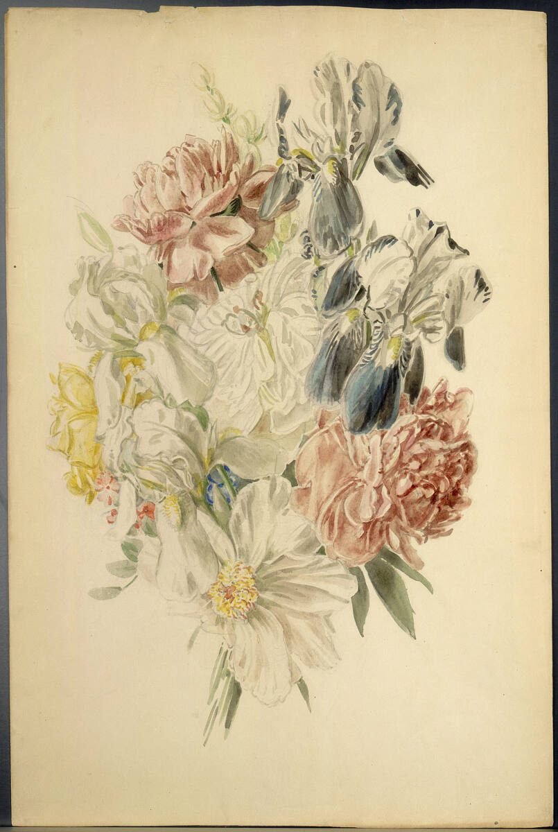 Anonym, Blumenstudie