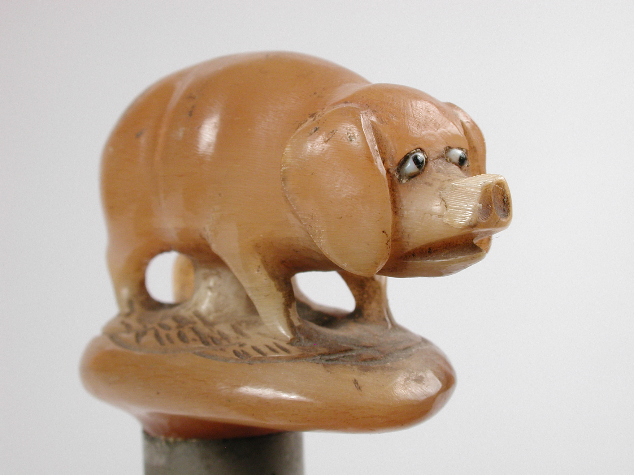 Unknown artist, Wandelstok van hout met knop in vorm van varken