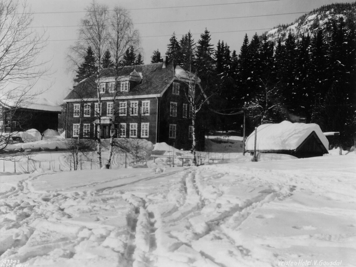 Anders Beer Wilse, Veisten Hotell Vinter Sno