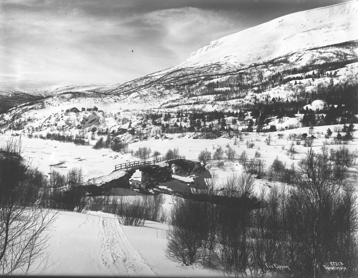 Anders Beer Wilse, Prot: Engan Station