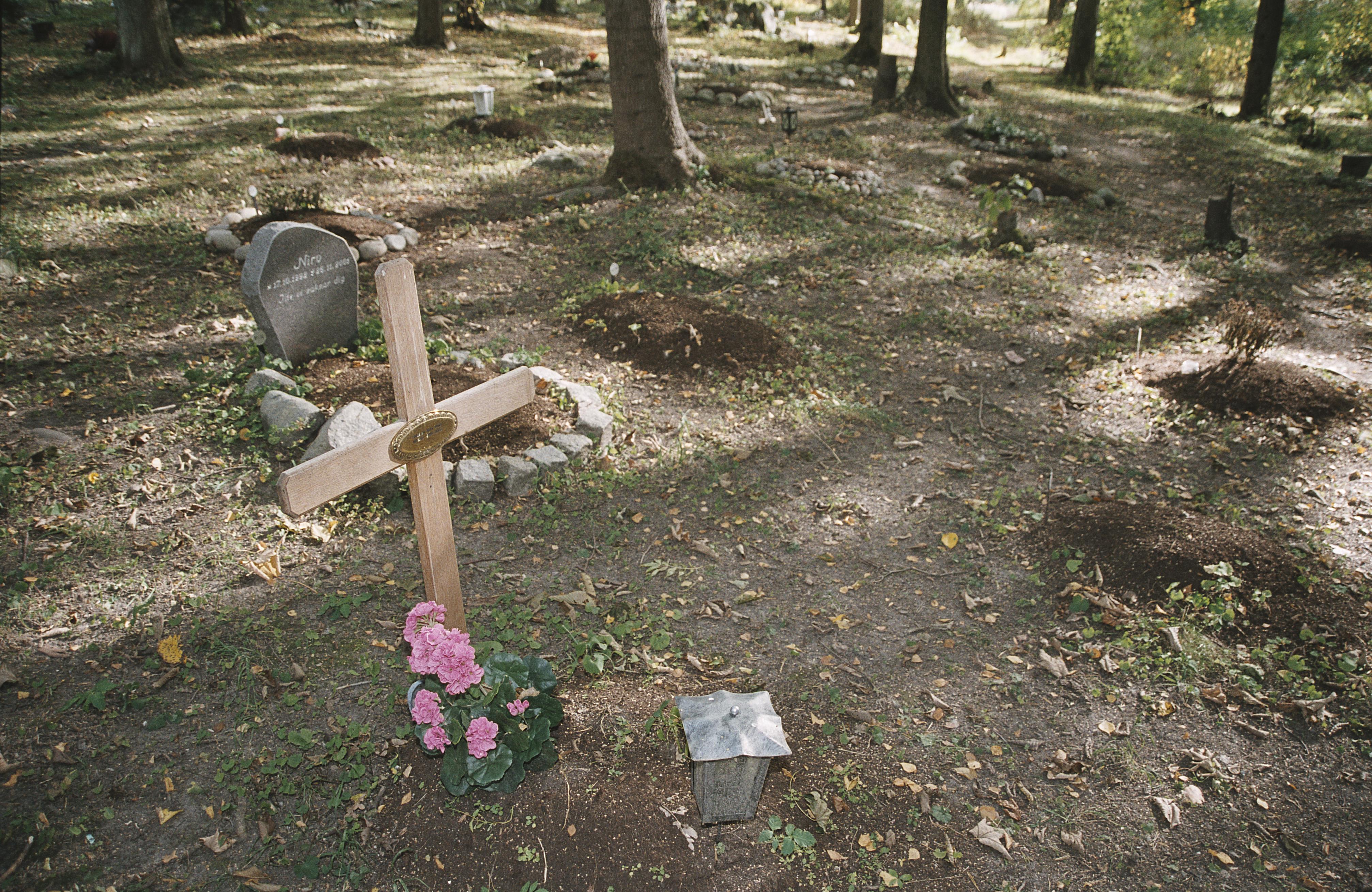 Bengt A Lundberg, Djurkyrkogården vid Kaknäs
