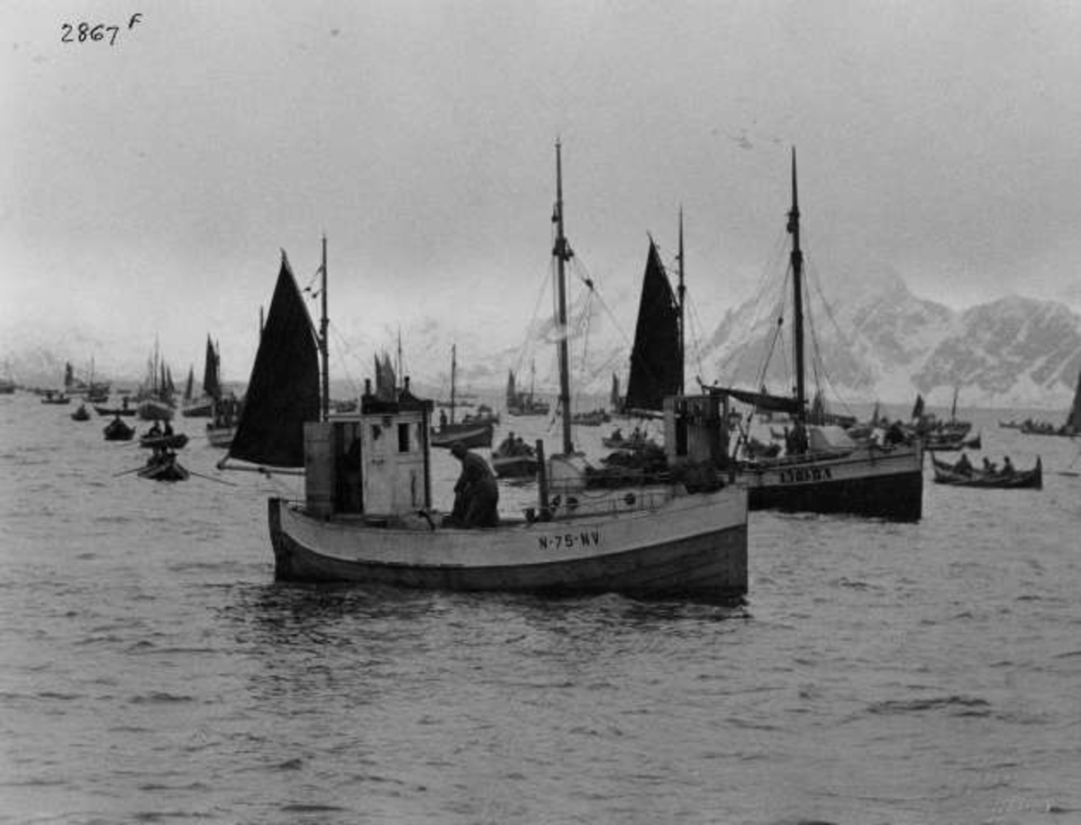 Anders Beer Wilse, -7370