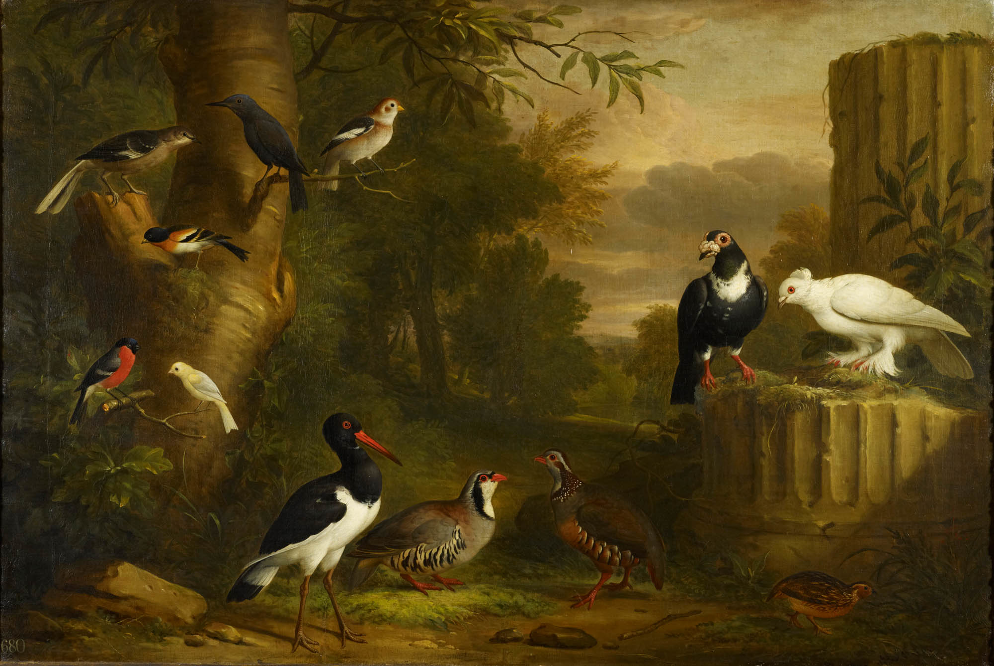 Jakob Bogdani, Birds in a Landscape