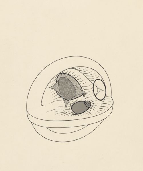 J Tinkelenberg, Schematic representation of a part of the heart
