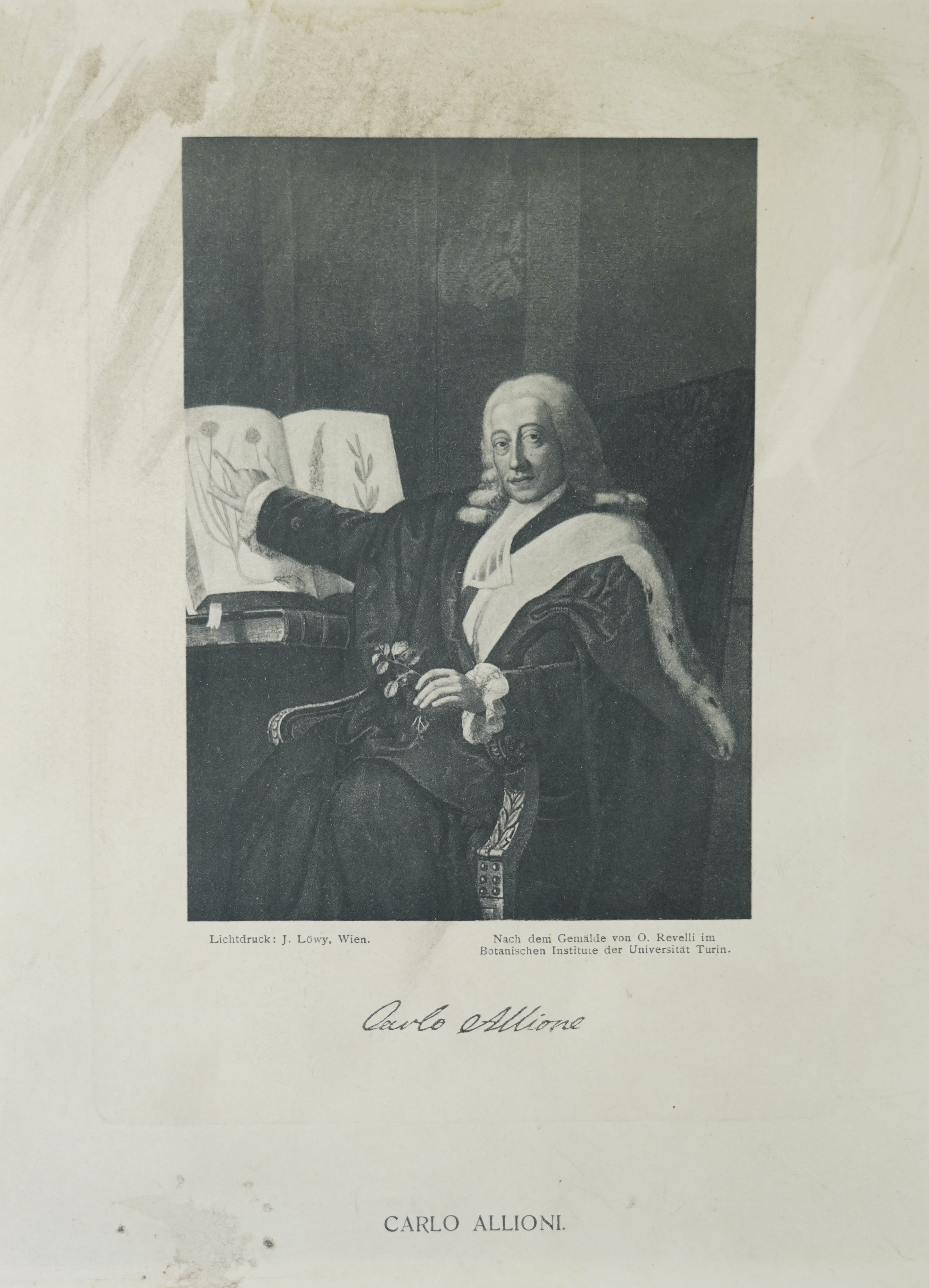 Josef Löwy, Lichtdruckporträt von Carlo Allioni