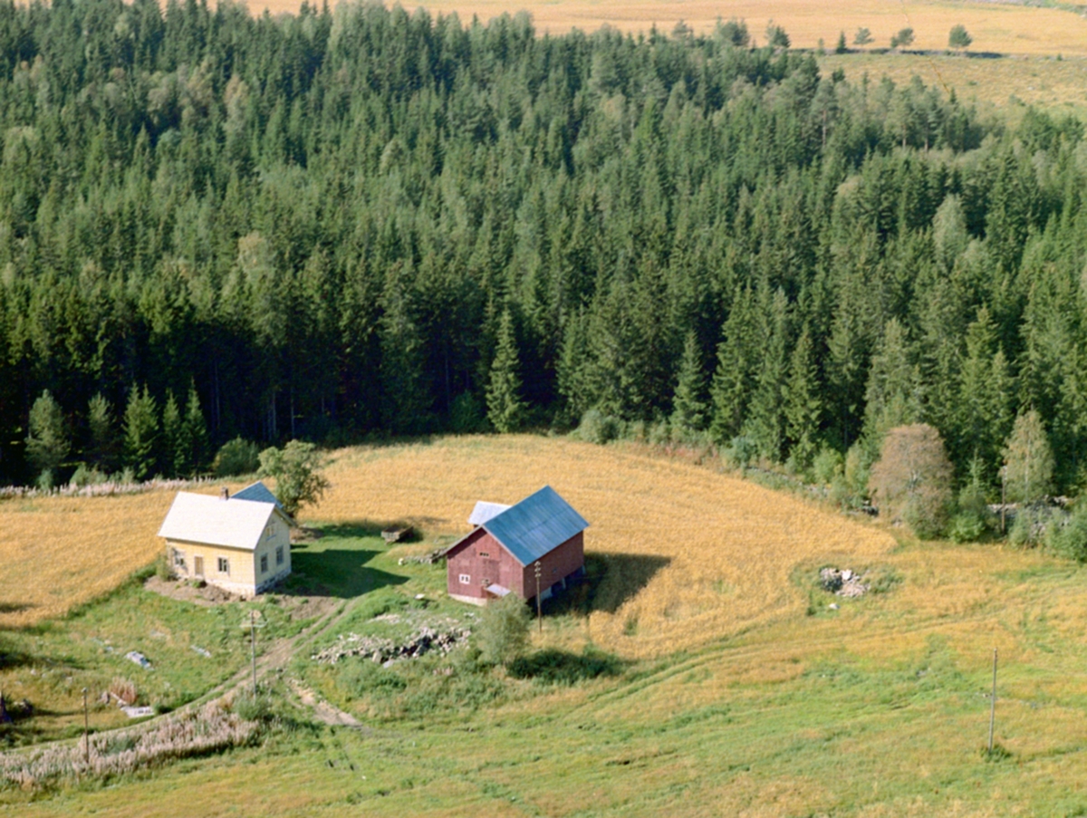 Widerøes Flyveselskap A/S, Flyfoto, Dyrihagen, Engemogutua, Løten.