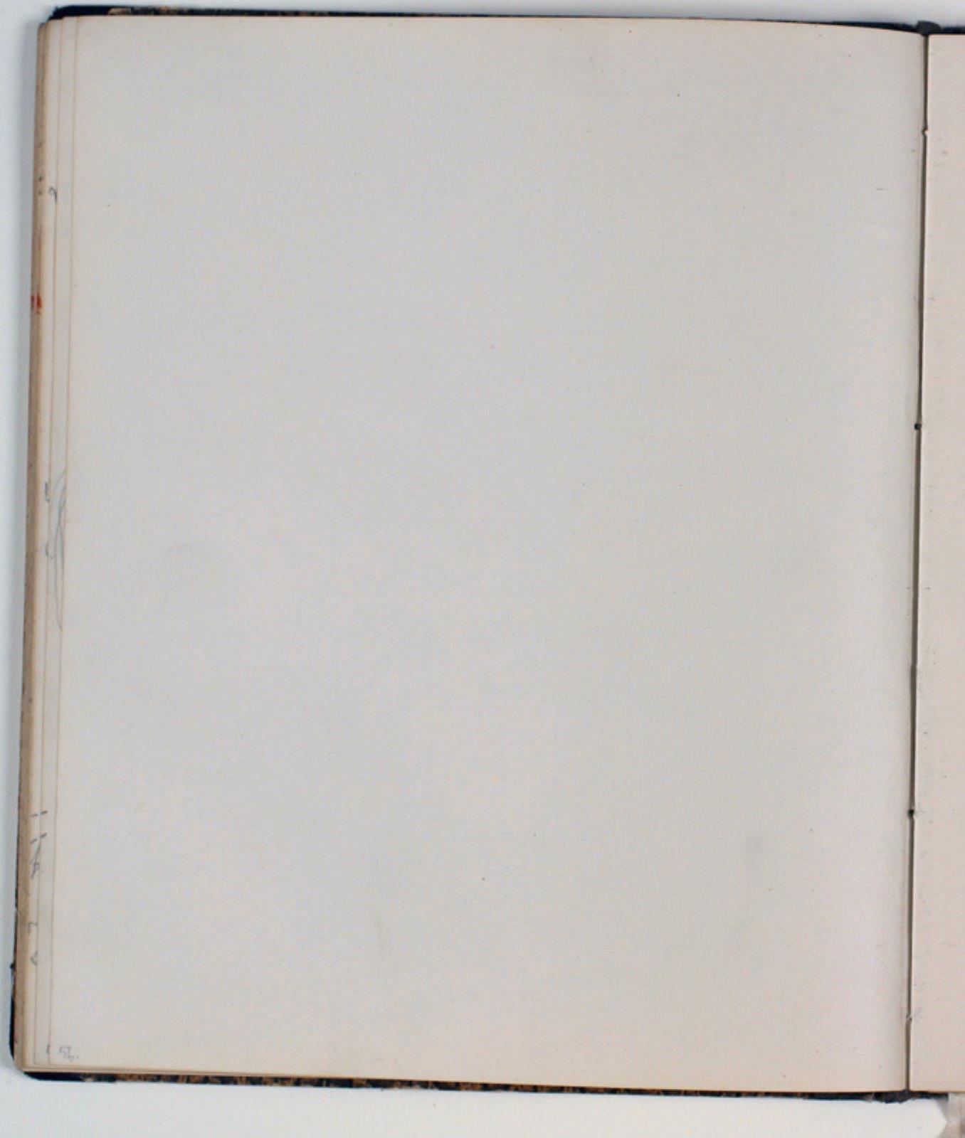 Niels Larsen Stevns, Blank