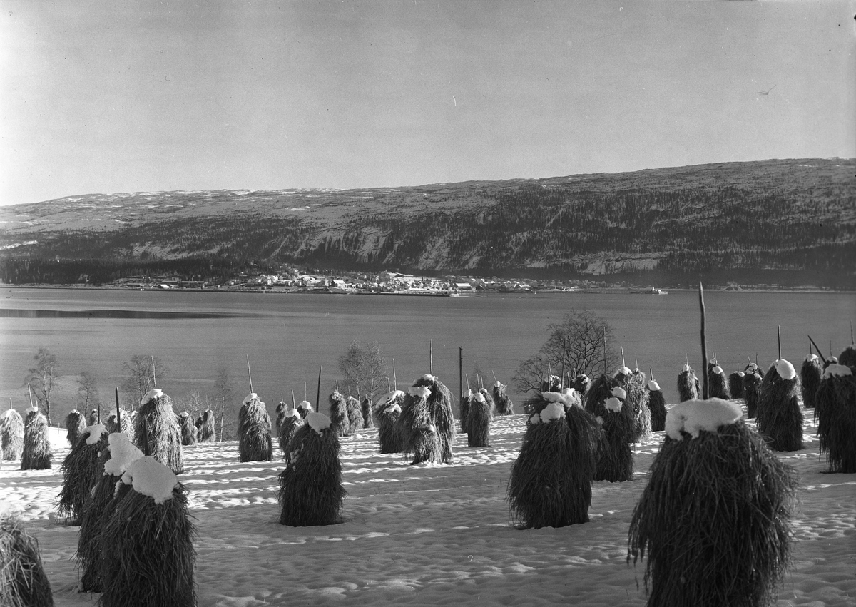 Anders Beer Wilse, Mo i Rana fra Steinneset på staur sne