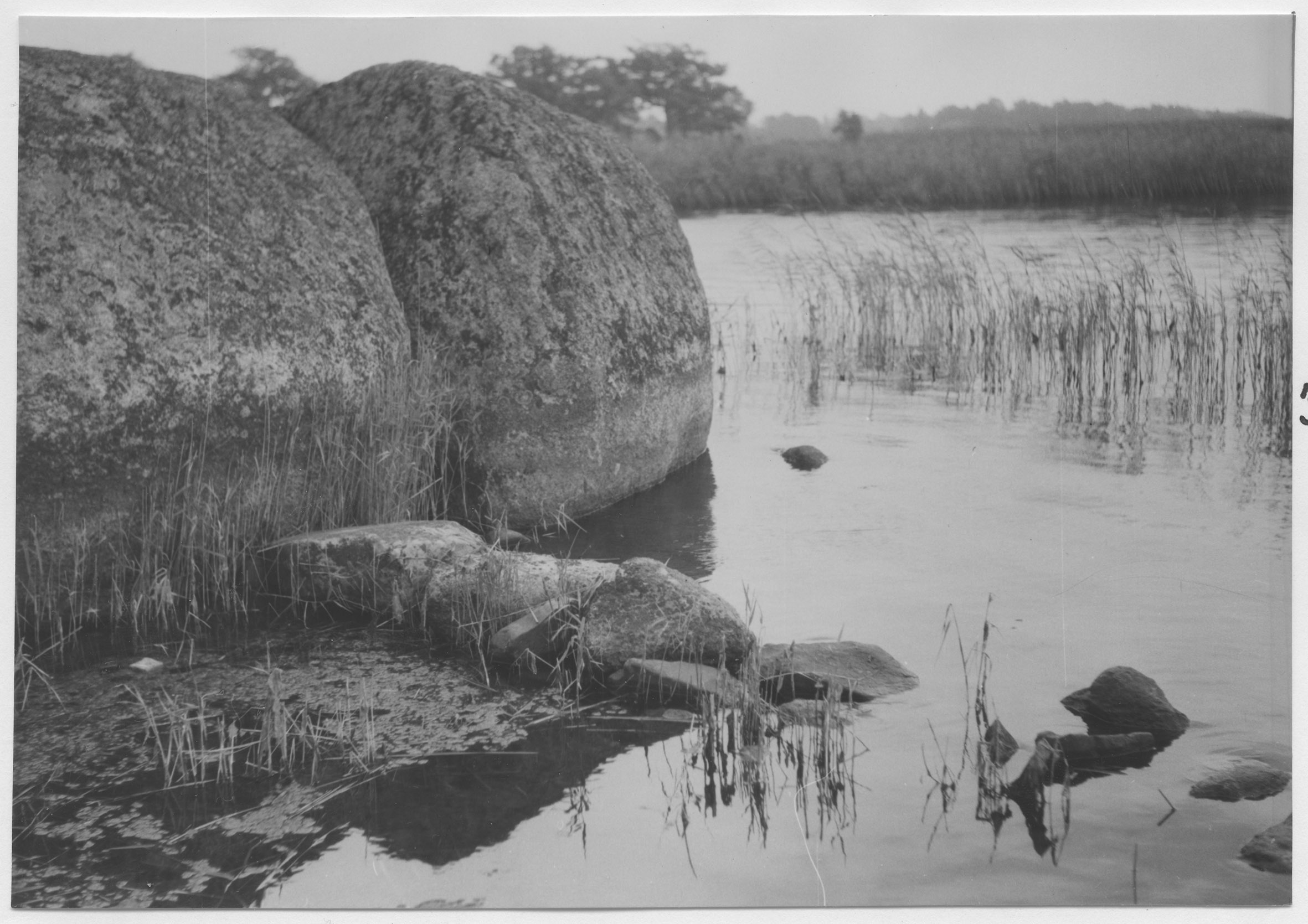 Mårten Sjöbeck, Risanäs