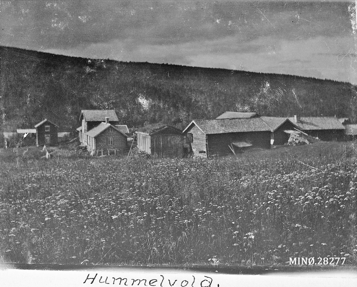 Rugsveen, Johan, Undseth, Gardsbruk. Hummelvold