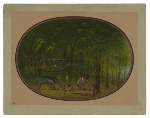 George Catlin, The Great Ant-Eater