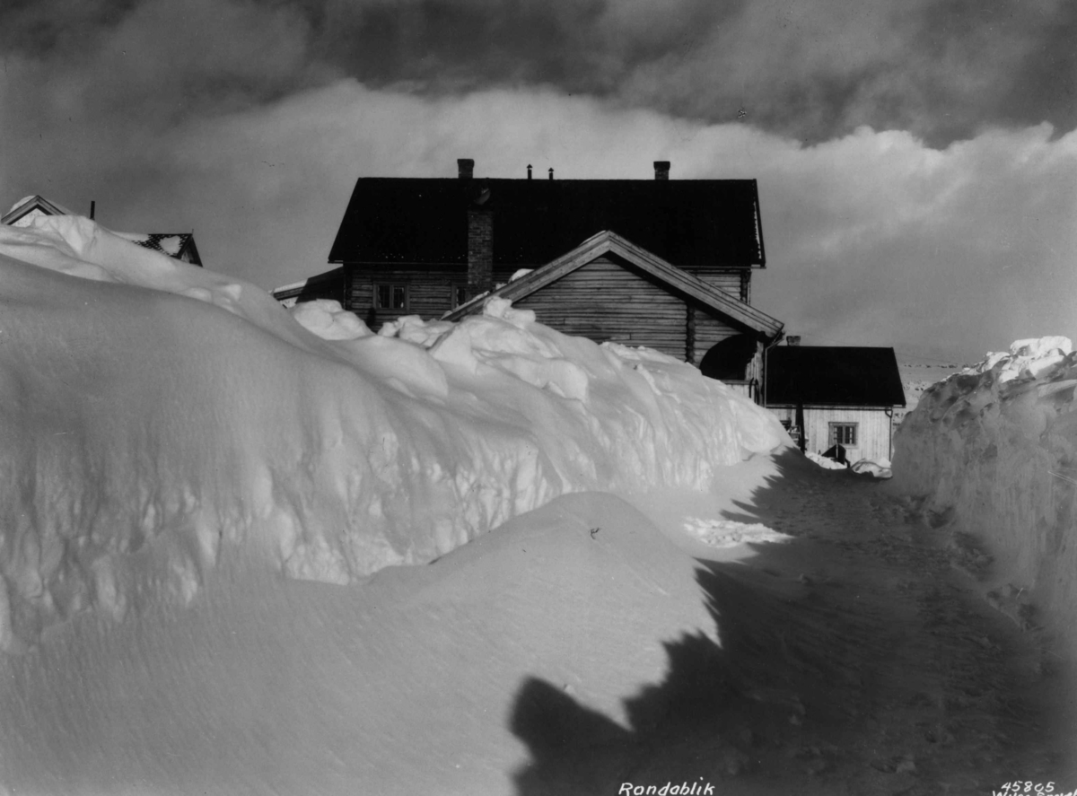Anders Beer Wilse, Rondablikk Sno