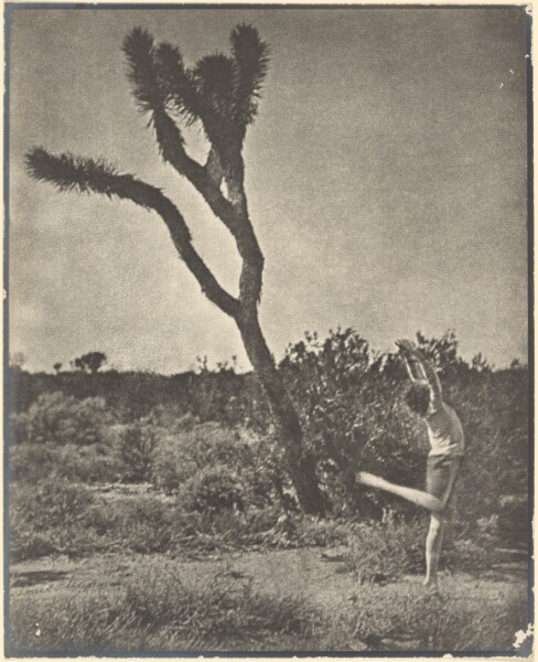 Louis Fleckenstein, [Dancer at Joshua Tree]