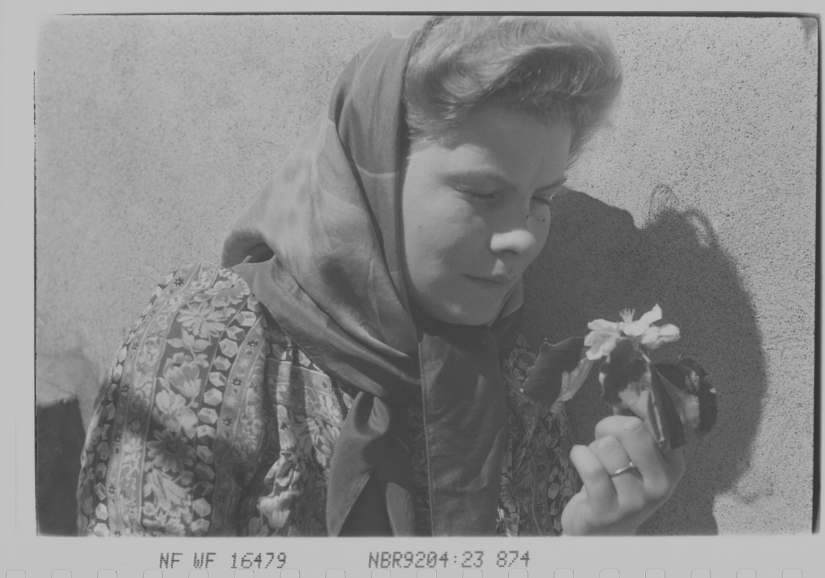 Anders Beer Wilse, Prot: Dame og Blomst