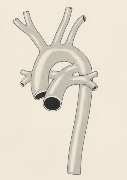 J Tinkelenberg, Vascular structure of the thorax