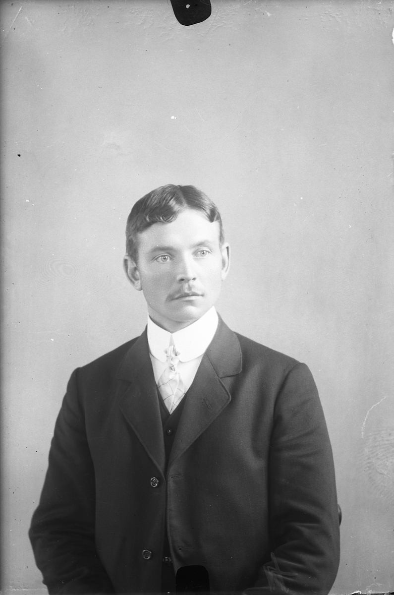 Oscar Holte, Portrett av mann