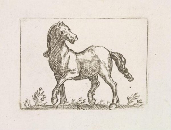 Unknown, Print