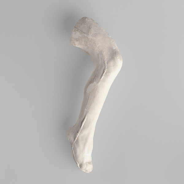 Auguste Rodin, Study of a leg