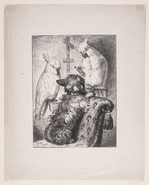 F. Hendriksen, En Hund og to Papegøjer