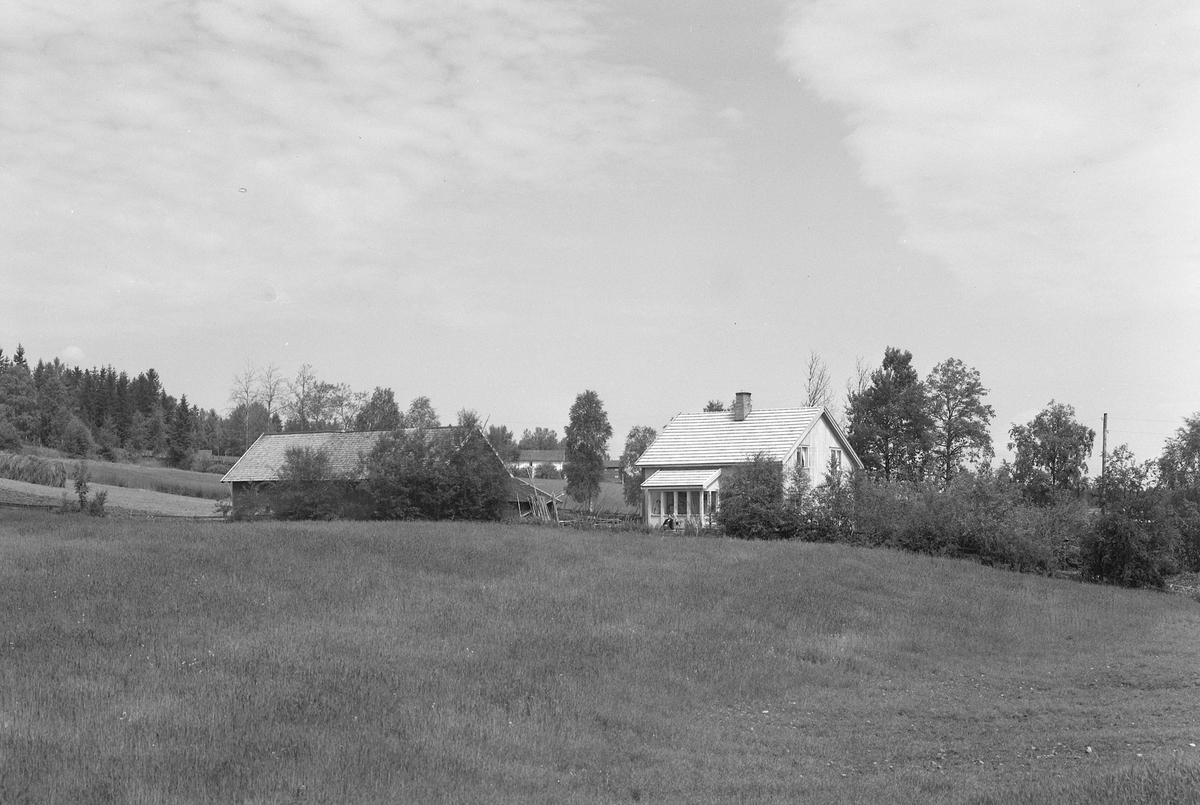 Anno Domkirkeodden, EKSTR: GARDSTUN, HAUGLI, GRANDAL. Se Løtenboka, bind 3. Bygdeboka fra 1955, side 63