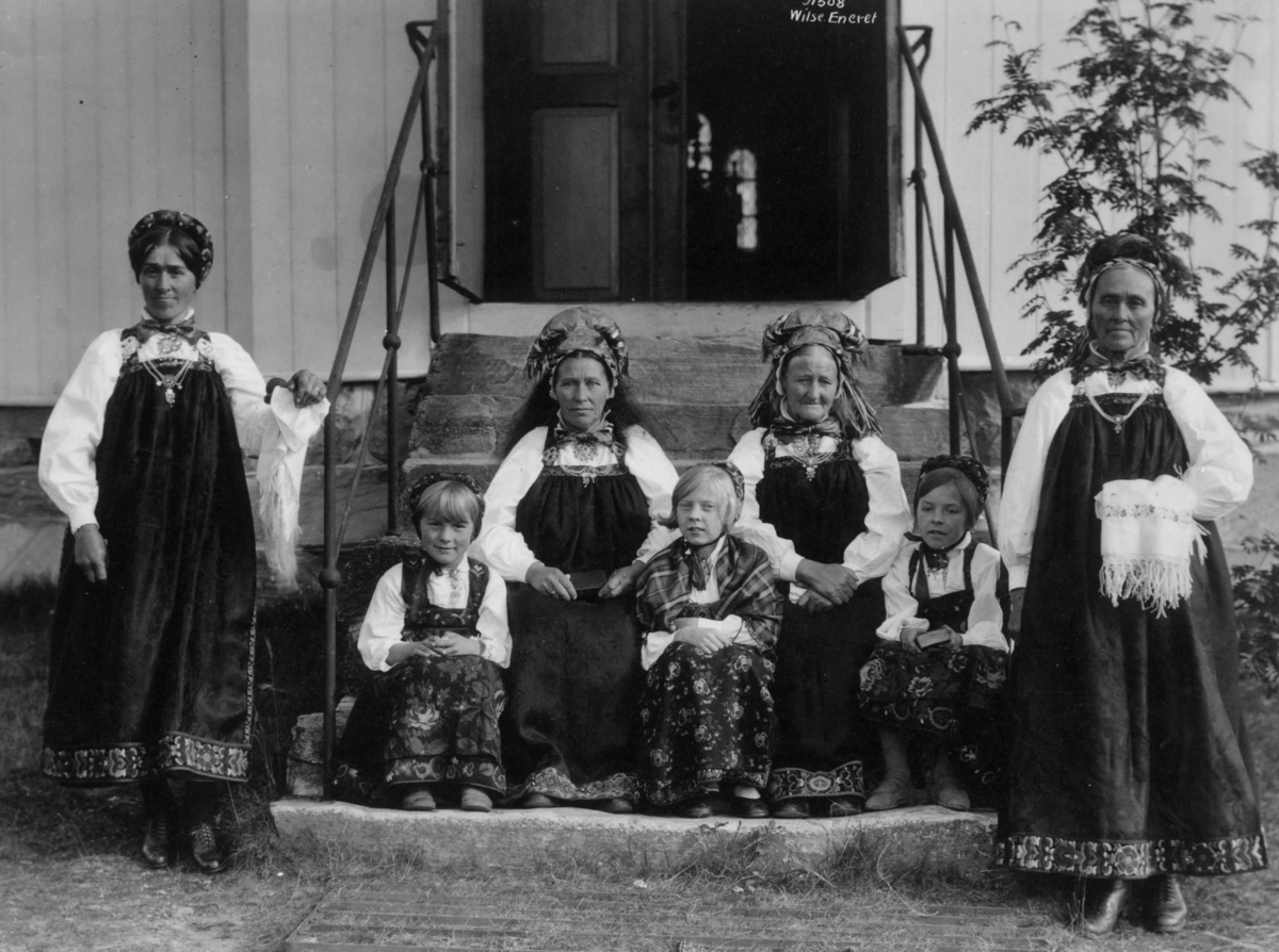 Anders Beer Wilse, Hallingdrakter, Buskerud