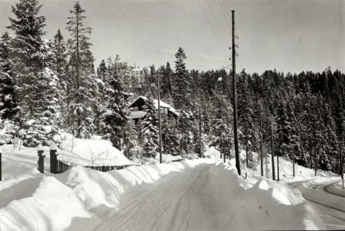 Hermann Christian Neupert, Holmenkollbanen, Nordmarka, Oslo. Vinterskog med hus, vei og bane.